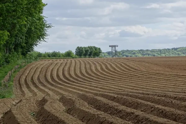 veld boerderij