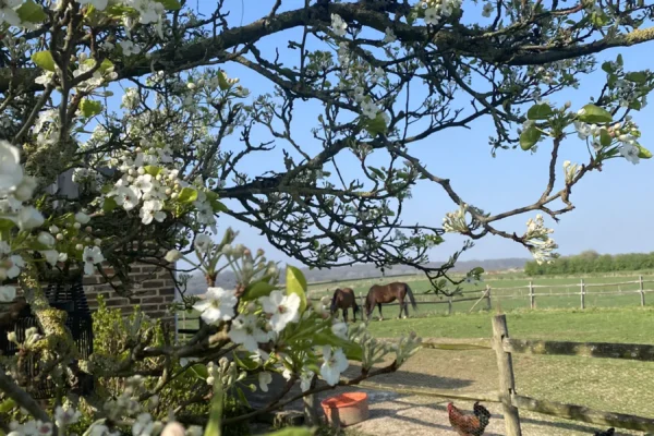 appartementen tuin