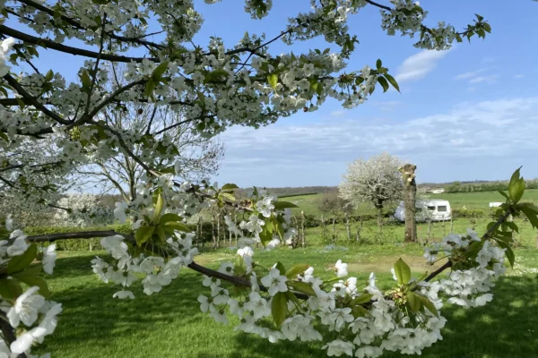 Camping de Mescherhei